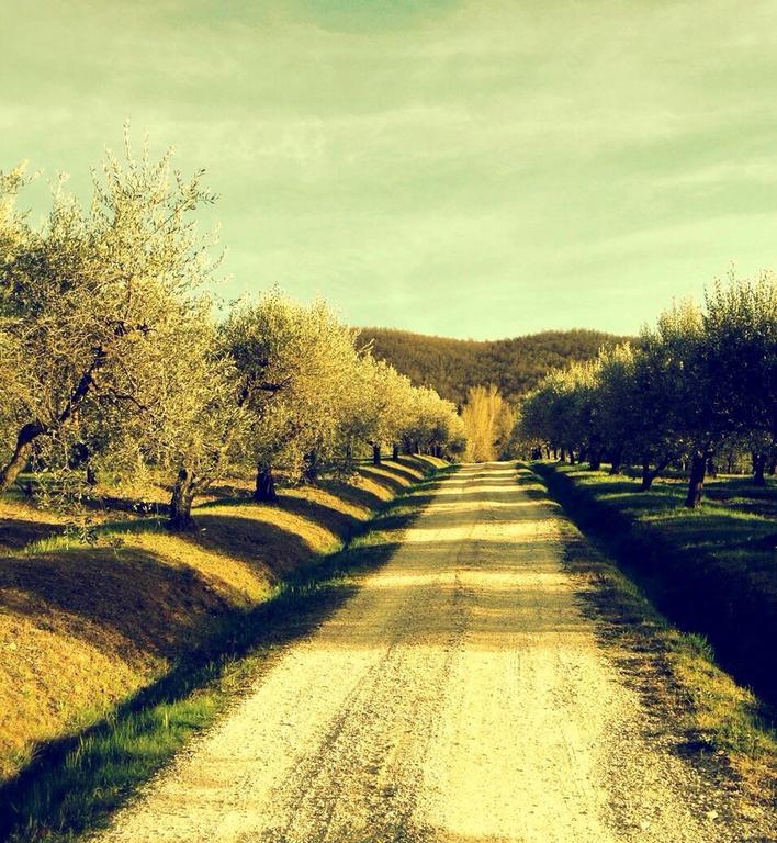 Podere Le Corone Villa Monte Castello di Vibio Kültér fotó