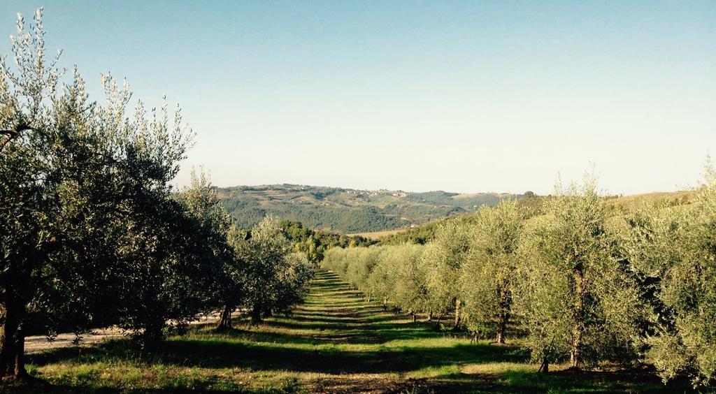 Podere Le Corone Villa Monte Castello di Vibio Kültér fotó