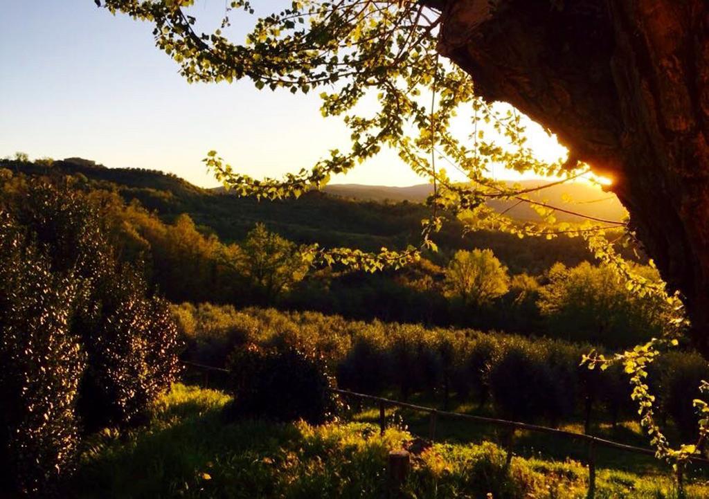 Podere Le Corone Villa Monte Castello di Vibio Kültér fotó