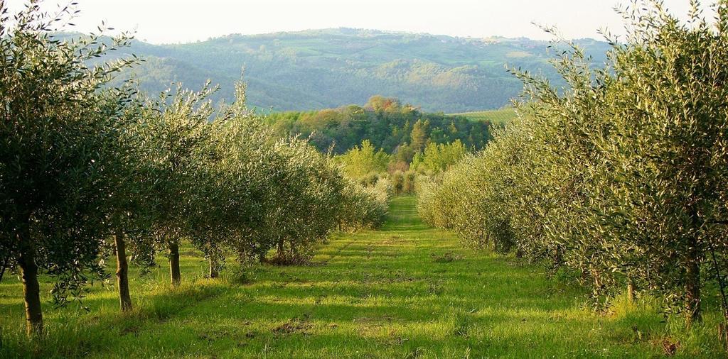 Podere Le Corone Villa Monte Castello di Vibio Kültér fotó